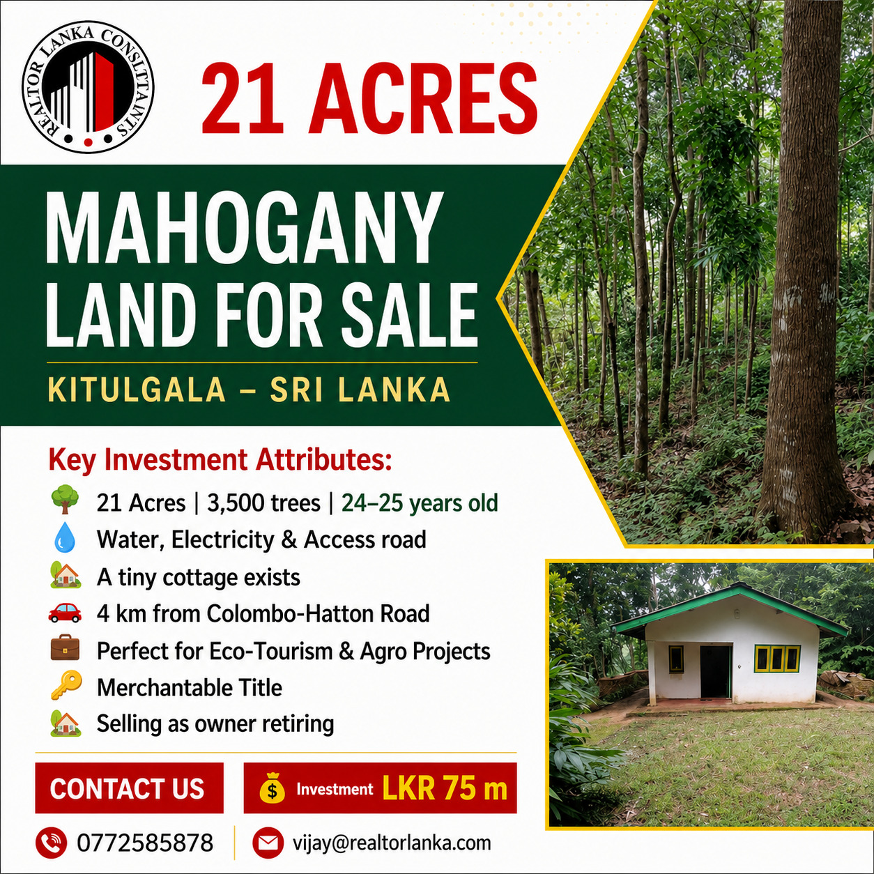 21 Acre - Mahogany land