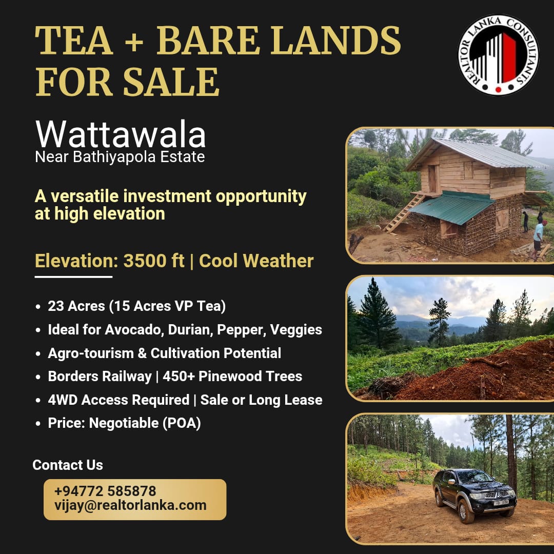 Tea + Bare Land For Sale